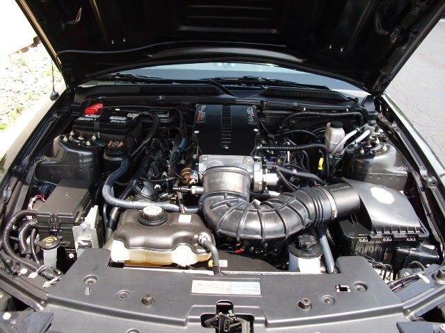 2009 Saleen S281 Supercharged V8 Engine