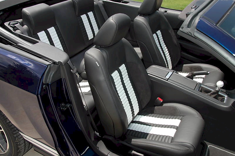 2010 Shelby GT-500 Interior