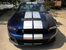 Grille Kona Blue 2010 Mustang Shelby GT500 Coupe