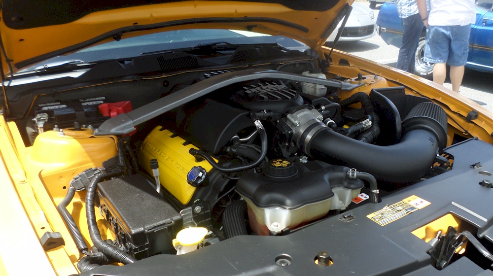 2011 Mustang 302ci Engine