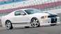 Performance White 2011 Mustang Shelby GT-350