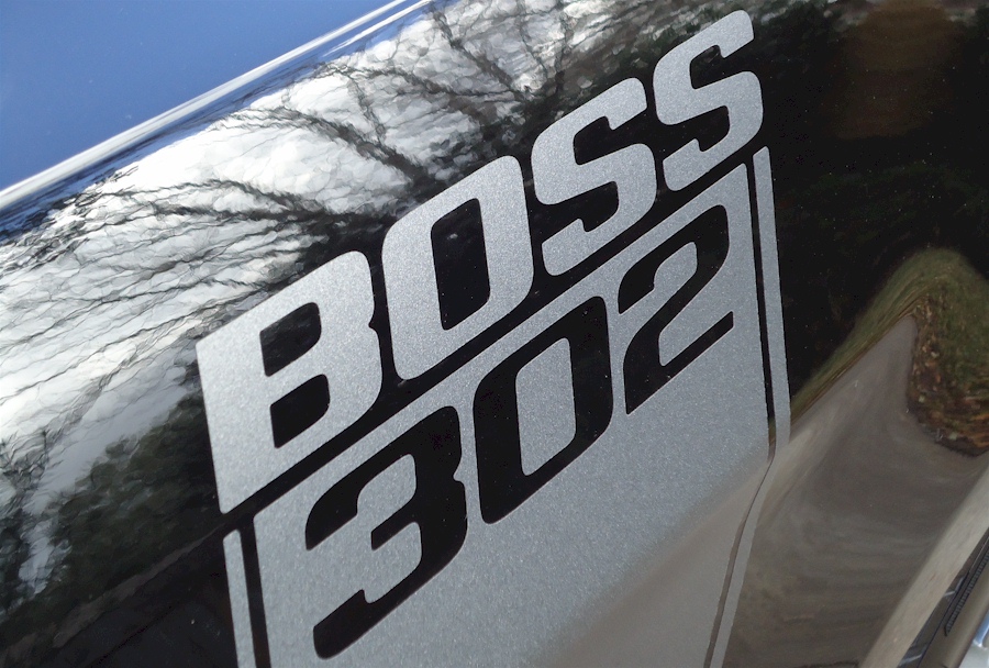 Boss 302 Stripes