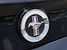 2014 Mustang V6 rear decklid badge