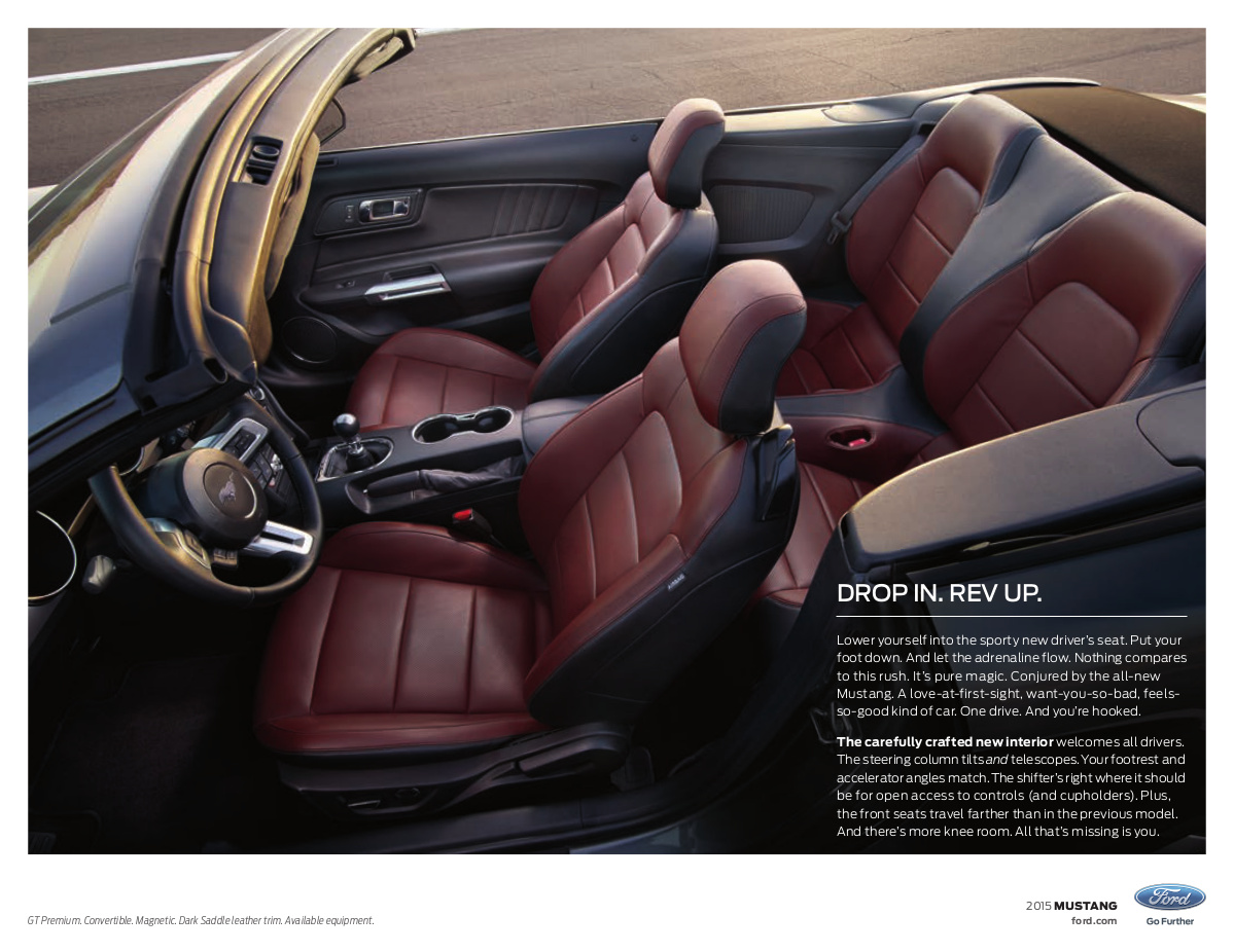 Dark Saddle Leather with RECARO Ebony sport leather-trimmed seats option