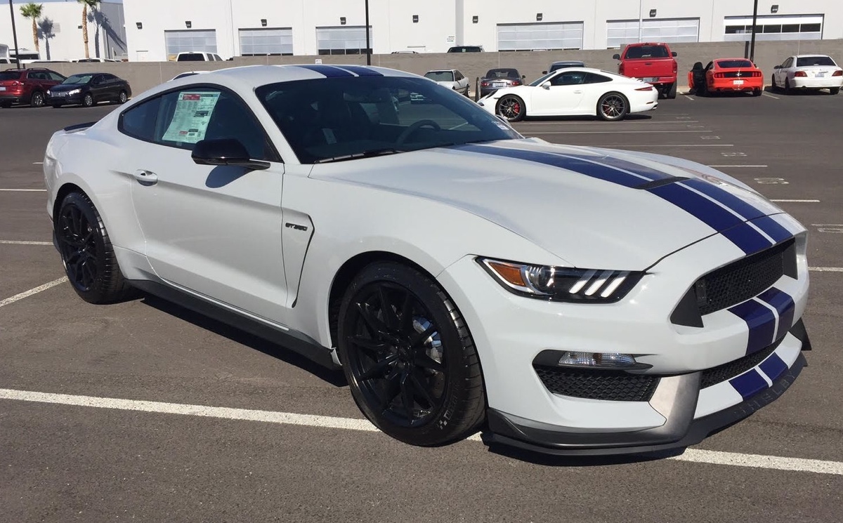 Avalanche gray 2016 Shelby GT350