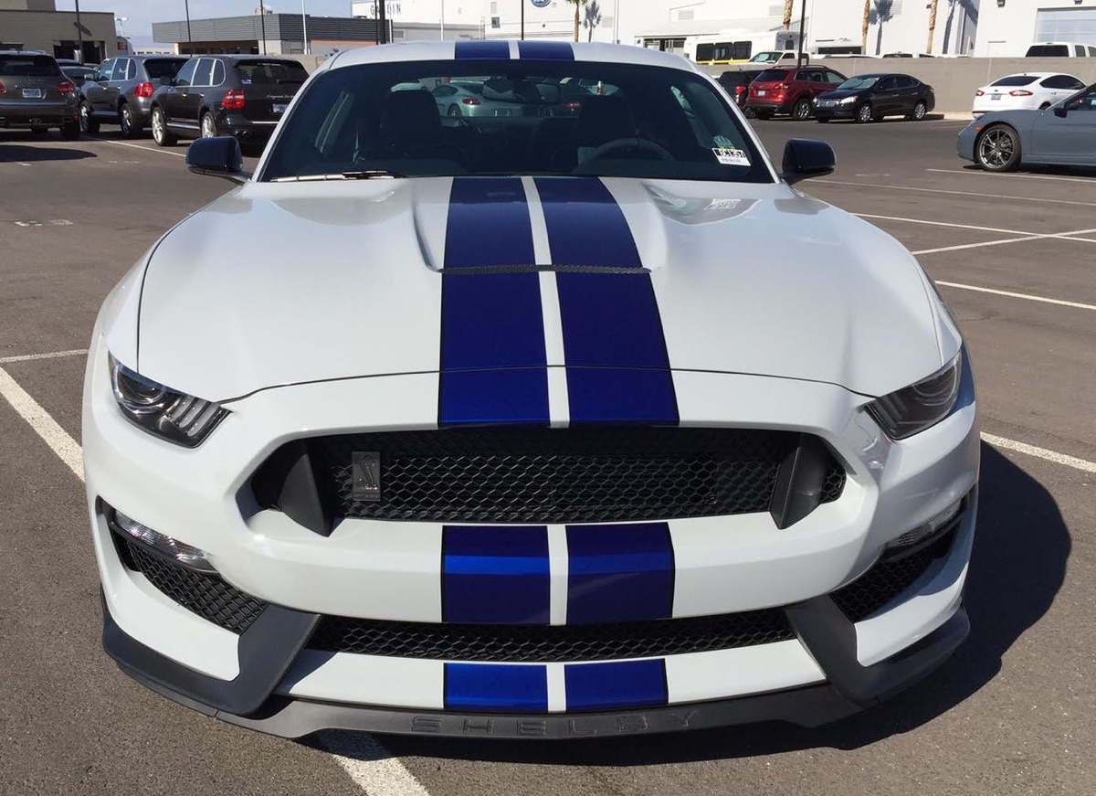 Front grille view 2016 Shelby GT350