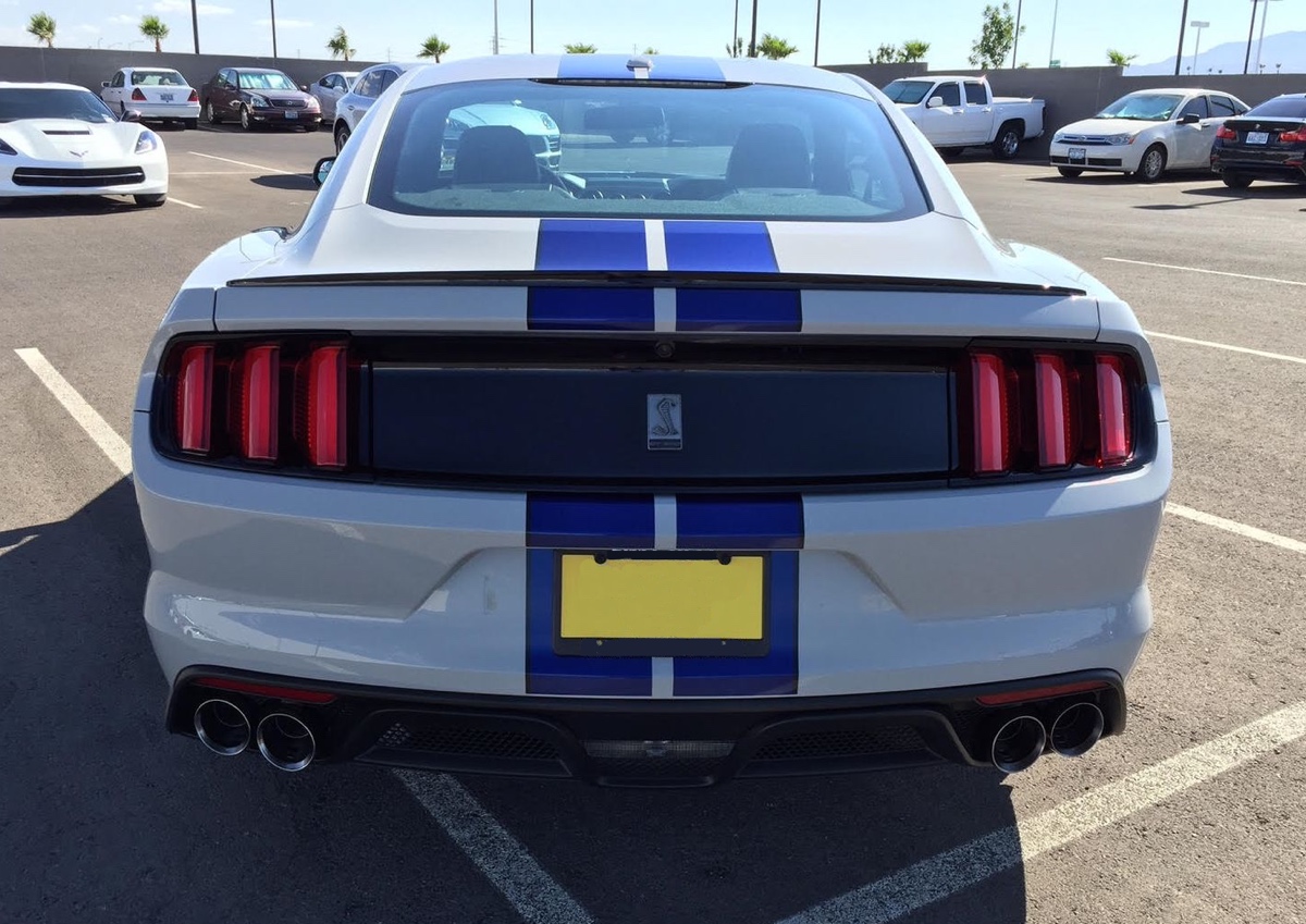 Rear view 2016 GT350 in Avalanche gray