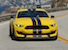 Triple Yellow 2016 Shelby GT350R Mustang