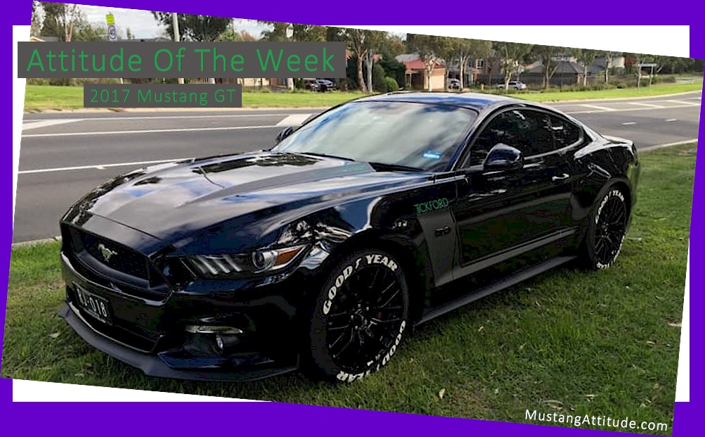 Black Horse Ford Mustang