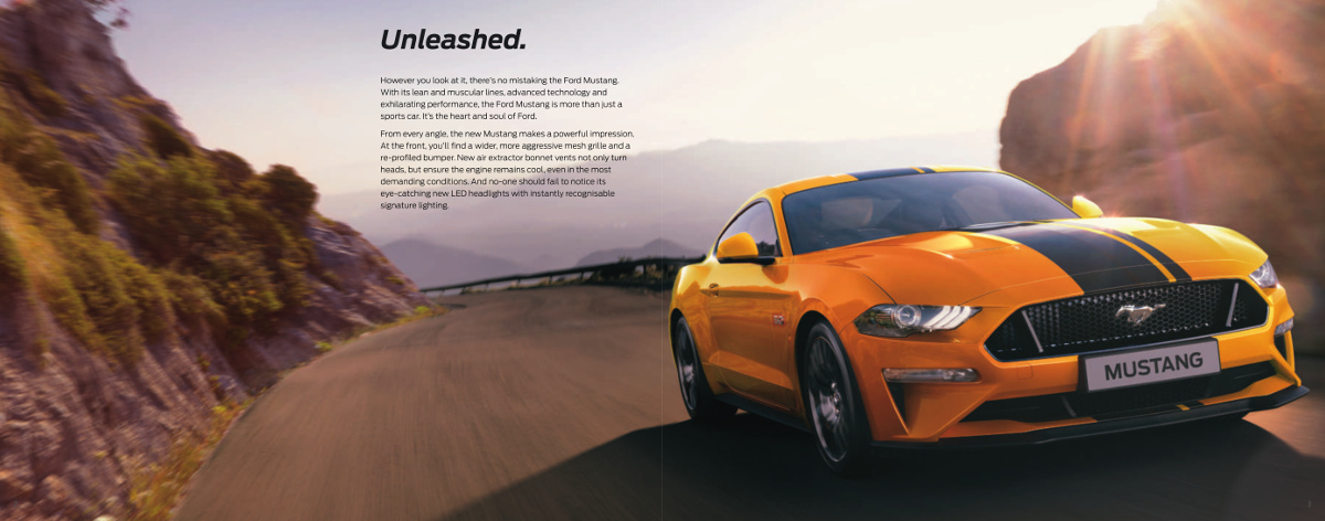 What is new for 2019