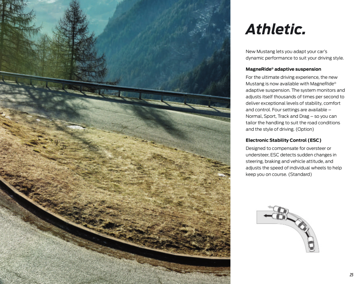 magneride and electronic stability control