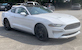 2020 Oxford White EcoBoost Mustang