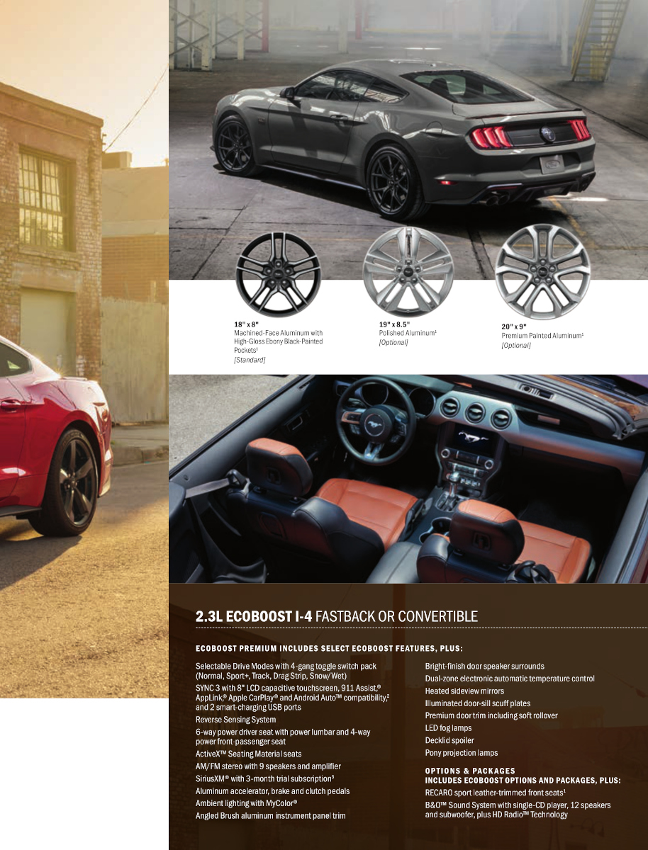 EcoBoost Premium details